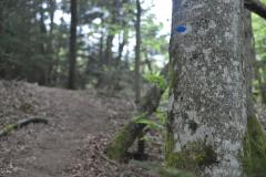 PAT_2512