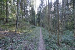 PAT_2431